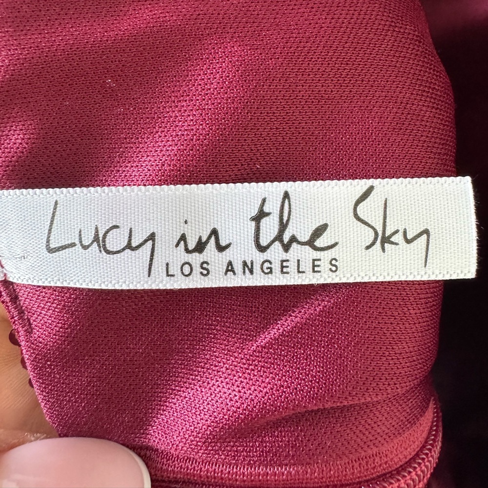 Lucy in the Sky Burgundy Sequin Mini Dress - Picture 12 of 15